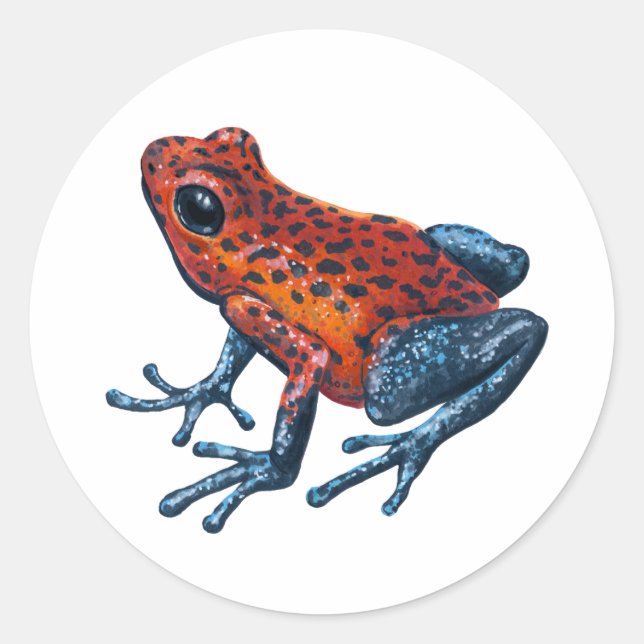 Strawberry Poison dart frog Classic Round Sticker (Front)