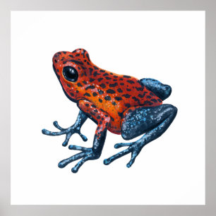 Strawberry Poison dart frog Poster