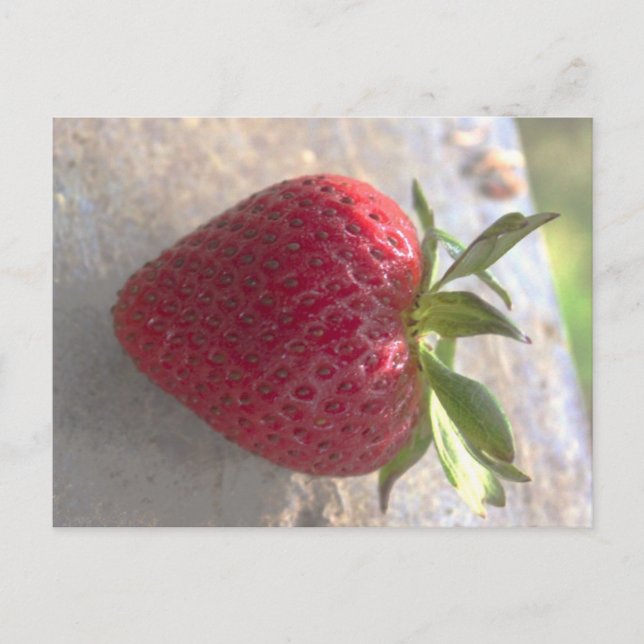 Strawberry Postcard (Front)