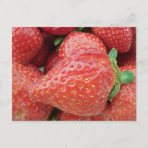 Strawberry Postcard