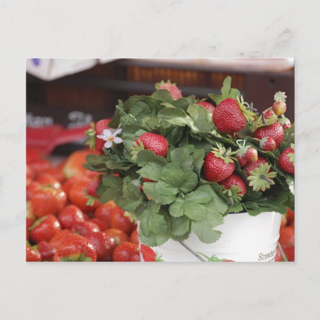 Strawberry Postcard (Front)