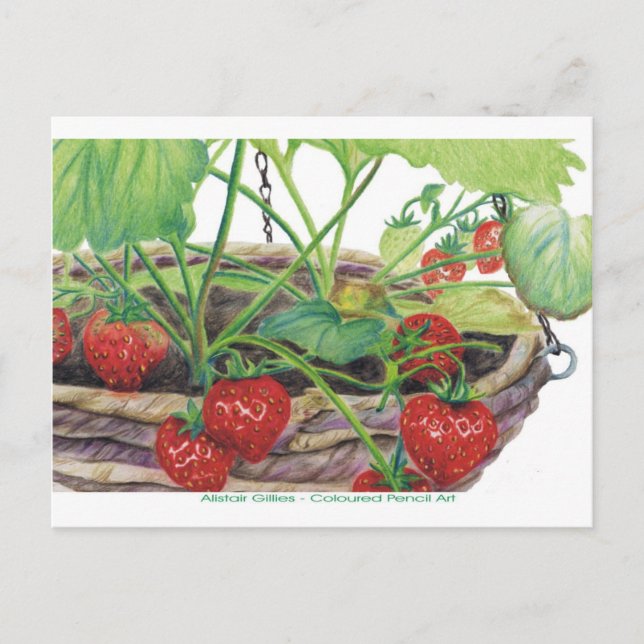 Strawberry Postcard (Front)