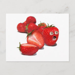 Strawberry Shock Postcard