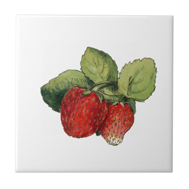 Strawberry Tile (Front)