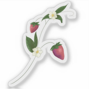 Strawberry Vine with flowers sticker 
