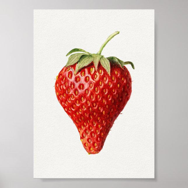 Strawberry Vintage Art Poster (Front)