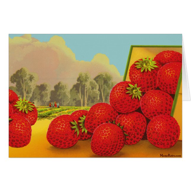 Strawberry Vintage Fruit Crate Art Blank Card (Front Horizontal)