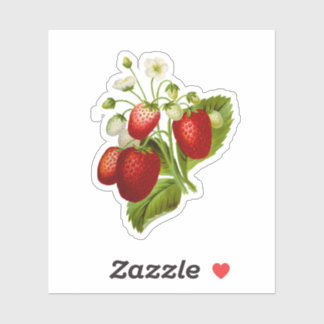 Strawberry Vinyl Stickers Seals Strawberries
