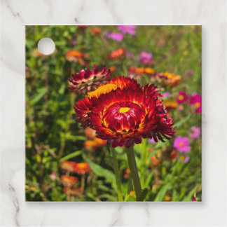 Strawflower garden favour tags