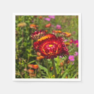 Strawflower garden napkin