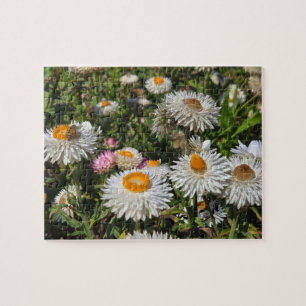 Strawflowers Jigsaw Puzzle