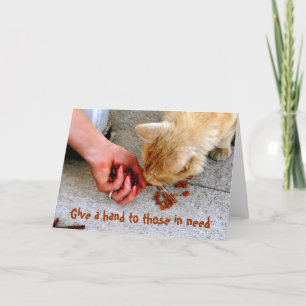 Stray Cat Hawaii Shelter Pets Holiday Card