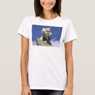 Stray cat Nyankichi [Blue sky is dazzling! ] T-Shirt