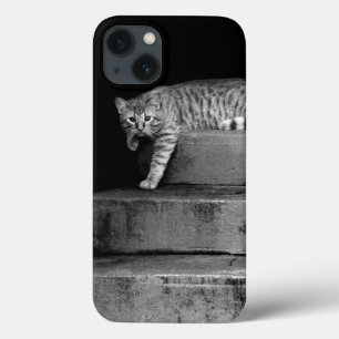 Stray Cat on Stairs iPhone 13 Case