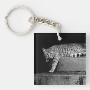 Stray Cat on Stairs Key Ring