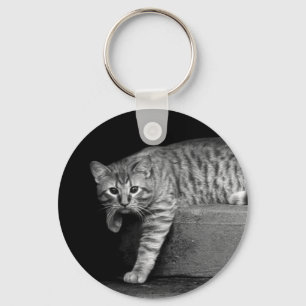 Stray Cat on Stairs Keychain