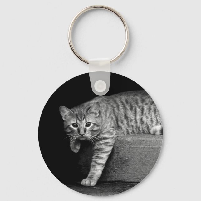 Stray Cat on Stairs Keychain (Front)