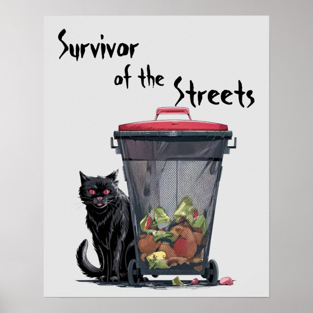 Stray Cat Poster (Front)