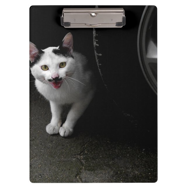 Stray Cat with Moustache Clipboard (Front)