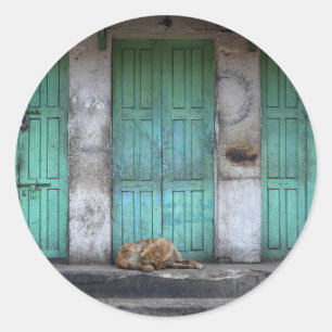 Stray dogs and green doors round sticker