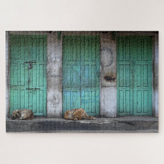 Stray dogs in front of dirty green doors jigsaw puzzle (Horizontal)