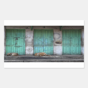 Stray dogs in front of doors rectangle sticker