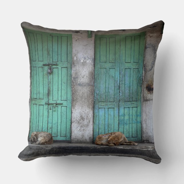 Stray dogs in front of green doors throw pillow (Front)