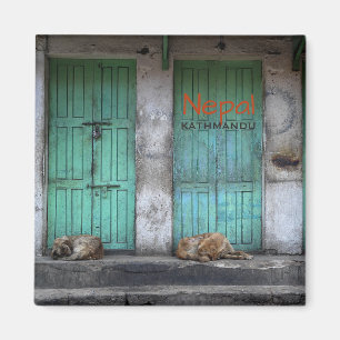 Stray dogs in Kathmandu, Nepal text magnet