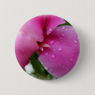 stray petal in the rain 6 cm round badge