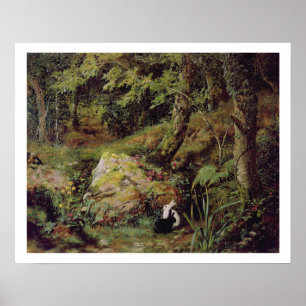 Stray rabbits poster