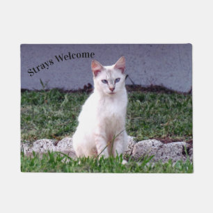 Strays Welcome - Siamese Stray Cat Doormat