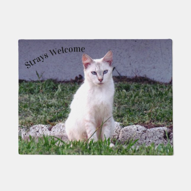 Strays Welcome - Siamese Stray Cat Doormat (Front)