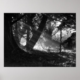 Streak of Light Poster