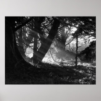 Streak of Light Poster