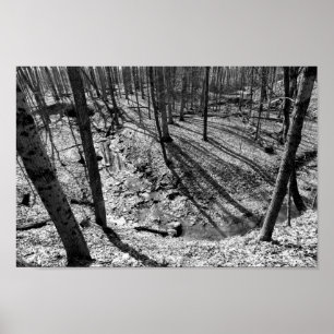 Stream in Highbanks Metropark (black/white) Poster