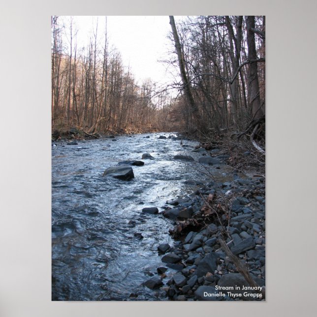 Stream in January - Print (Front)