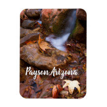 Stream in Payson, Arizona 