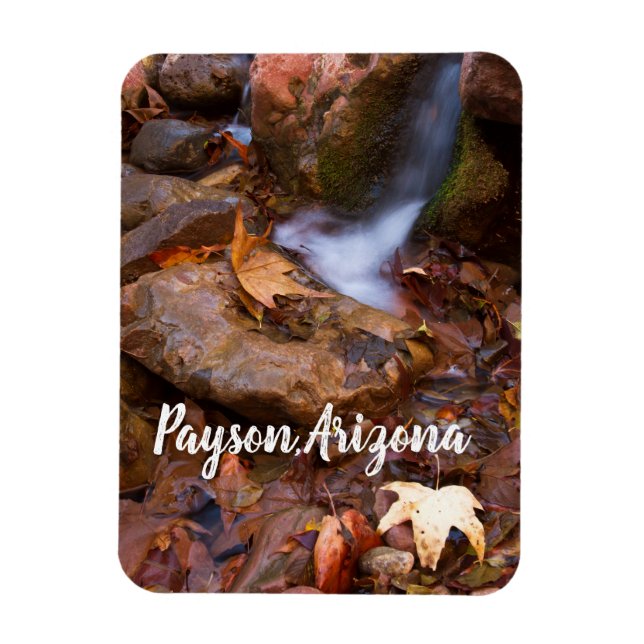 Stream in Payson, Arizona  Magnet (Vertical)