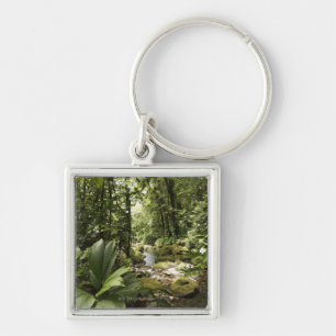 stream in rainforest, Dominica Key Ring
