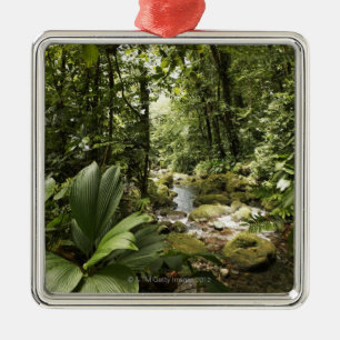 stream in rainforest, Dominica Metal Tree Decoration