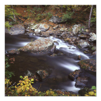 Stream in the Smokies Photo Print