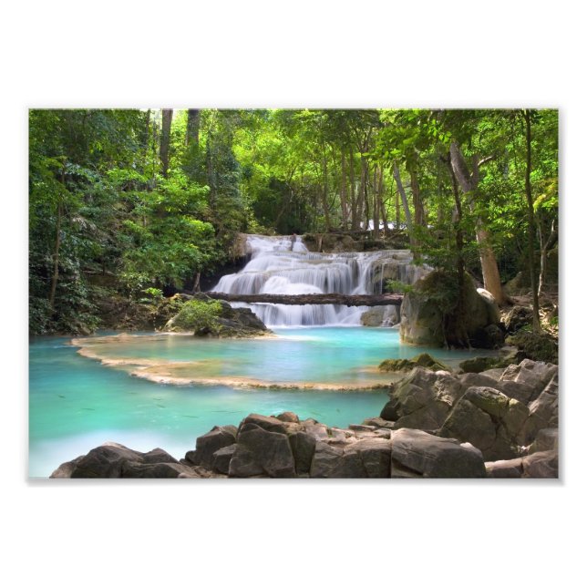 Stream in the Tropical Forest Photo Print (Front)