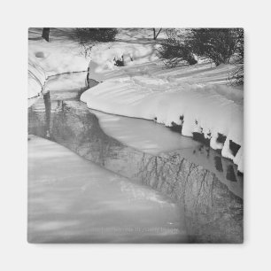 Stream in winter B&W Magnet