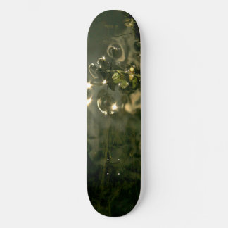 STREAM, INSECT AND SUNLIGHT AT PLAY SKATEBOARD