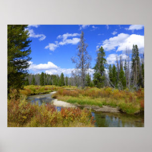 Stream near Redfish lake, Idaho. Poster
