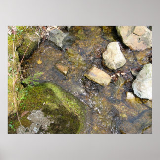 stream of consciouness poster