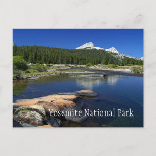Stream, Pine Trees, Snowy Mountains, Yosemte Postcard