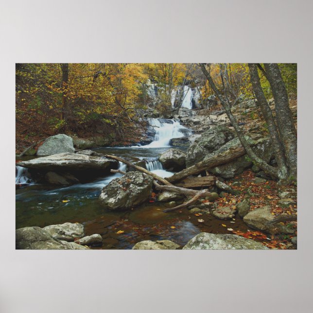 stream poster (Front)