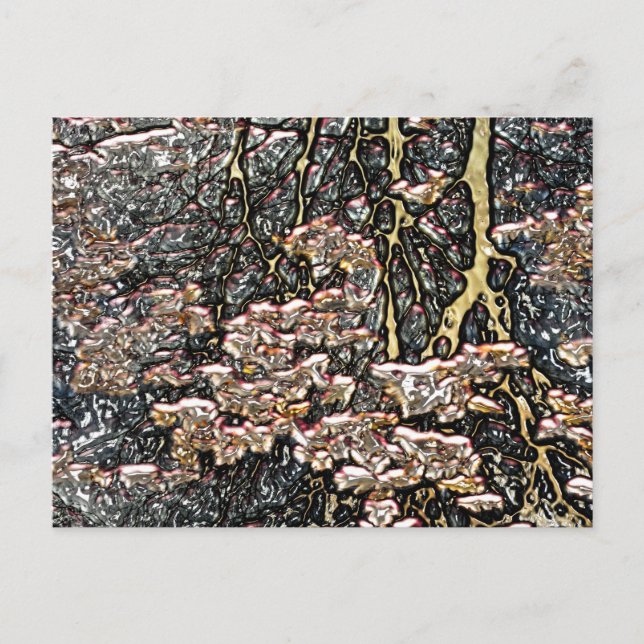 STREAM WATER REFLECTIONS POSTCARD (Front)