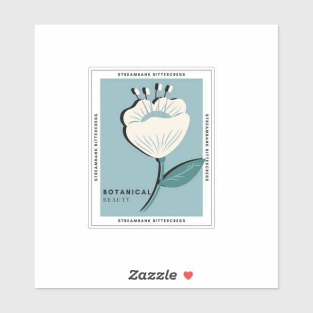 Streambank bittercress white flower (Sheet)